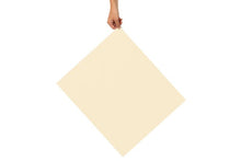 Afbeelding in Gallery-weergave laden, bijenwasdoeken | XL formaat